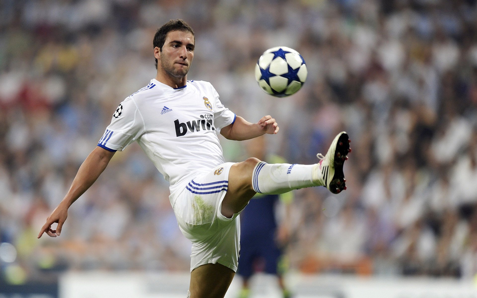 生态探险跑：绿色环保新趋势，生态挑战